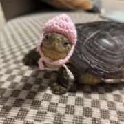 ヒメ日記 2025/12/23 23:46 投稿 るな 隙のあるエステ