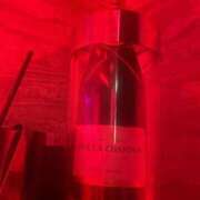 ヒメ日記 2025/06/15 10:20 投稿 れむ あふたーすくーる本店