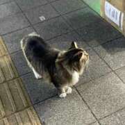 ヒメ日記 2025/11/22 18:17 投稿 れむ あふたーすくーる本店