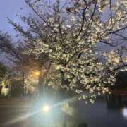 ヒメ日記 2026/04/05 04:19 投稿 れむ あふたーすくーる本店