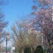 ヒメ日記 2025/05/04 12:16 投稿 れいか ラブハーレム(水戸)