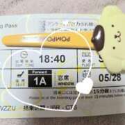 ヒメ日記 2025/05/29 01:55 投稿 れいか ラブハーレム(水戸)