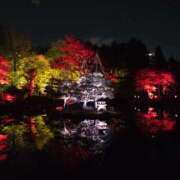 ヒメ日記 2025/11/02 00:03 投稿 れいか ラブハーレム(水戸)