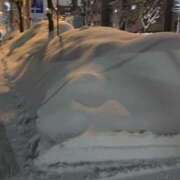 ヒメ日記 2026/01/09 11:39 投稿 れいか ラブハーレム(水戸)