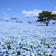 ヒメ日記 2026/02/20 22:30 投稿 れいか ラブハーレム(水戸)