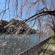 ヒメ日記 2026/04/09 11:34 投稿 れいか ラブハーレム(水戸)