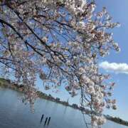 ヒメ日記 2026/04/11 17:08 投稿 れいか ラブハーレム(水戸)