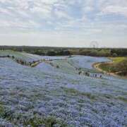 ヒメ日記 2026/04/16 19:31 投稿 れいか ラブハーレム(水戸)