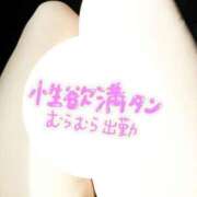 ヒメ日記 2025/05/09 14:51 投稿 (コスパ)高橋かな/地元出身 風俗イキタイいわき店