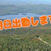 ヒメ日記 2025/06/30 16:31 投稿 (コスパ)高橋かな/地元出身 風俗イキタイいわき店