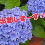 ヒメ日記 2025/07/03 15:41 投稿 (コスパ)高橋かな/地元出身 風俗イキタイいわき店