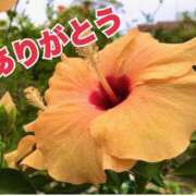 ヒメ日記 2025/07/12 02:31 投稿 (コスパ)高橋かな/地元出身 風俗イキタイいわき店