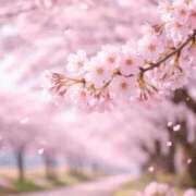 ヒメ日記 2026/04/15 15:20 投稿 (コスパ)高橋かな/地元出身 風俗イキタイいわき店