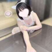 ヒメ日記 2025/08/28 09:15 投稿 小牧レム 四季～SIKI～