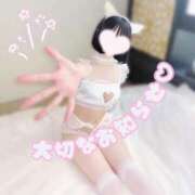 ヒメ日記 2026/02/15 19:03 投稿 小牧レム 四季～SIKI～