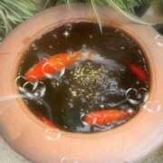 ヒメ日記 2025/06/27 12:19 投稿 こいろ 京都人妻デリヘル倶楽部