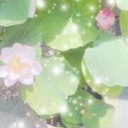 ヒメ日記 2025/07/02 08:58 投稿 こいろ 京都人妻デリヘル倶楽部