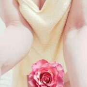 ヒメ日記 2025/08/20 15:33 投稿 こいろ 京都ホテヘル倶楽部