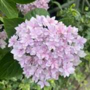 こいろ June ♡ 京都ホテヘル倶楽部