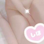 ヒメ日記 2025/06/17 08:21 投稿 しほ あかね治療院