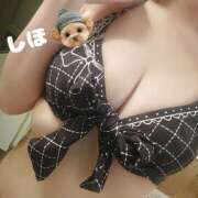 ヒメ日記 2025/07/17 19:21 投稿 しほ あかね治療院