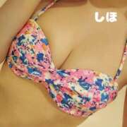 ヒメ日記 2025/09/28 18:21 投稿 しほ あかね治療院