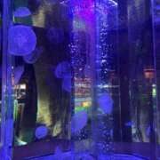 ヒメ日記 2025/04/28 09:42 投稿 ひまり 小田原人妻城