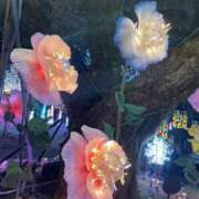 ヒメ日記 2025/05/07 16:18 投稿 ひまり 小田原人妻城