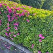 ヒメ日記 2025/05/13 18:48 投稿 ひまり 小田原人妻城