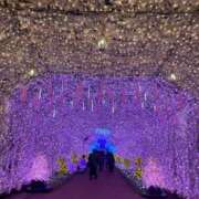 ヒメ日記 2025/05/20 19:42 投稿 ひまり 小田原人妻城