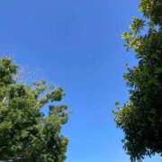 ヒメ日記 2025/07/02 10:51 投稿 ひまり 小田原人妻城