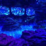 ヒメ日記 2025/09/25 21:34 投稿 ひまり 小田原人妻城