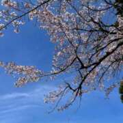 ひまり お久しぶりです！ 小田原人妻城