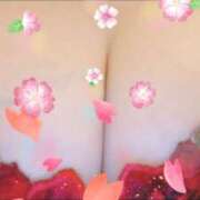 ヒメ日記 2025/05/15 06:45 投稿 るみ 奥様鉄道69 東京店