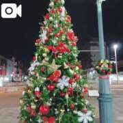 ヒメ日記 2025/12/07 12:07 投稿 るみ 奥様鉄道69 東京店