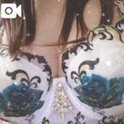 ヒメ日記 2025/12/08 11:55 投稿 るみ 奥様鉄道69 東京店