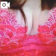 ヒメ日記 2025/12/27 19:15 投稿 るみ 奥様鉄道69 東京店