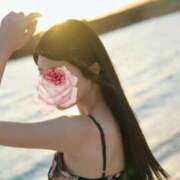 ヒメ日記 2025/05/24 10:46 投稿 万里（まり） コルドンブルー