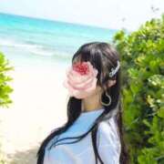 ヒメ日記 2025/06/19 14:05 投稿 万里（まり） コルドンブルー