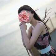 ヒメ日記 2025/07/02 14:05 投稿 万里（まり） コルドンブルー