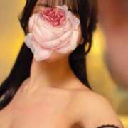 ヒメ日記 2025/08/25 18:05 投稿 万里（まり） コルドンブルー