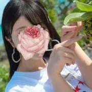 ヒメ日記 2025/08/27 18:05 投稿 万里（まり） コルドンブルー