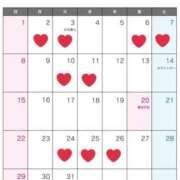 ヒメ日記 2026/02/22 13:55 投稿 万里（まり） コルドンブルー