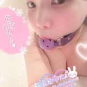 ヒメ日記 2025/04/28 15:52 投稿 りりか 川越ぽちゃまに