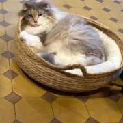 ヒメ日記 2025/05/18 15:02 投稿 ひなた パリス雄琴店