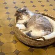 ヒメ日記 2025/05/31 21:22 投稿 ひなた パリス雄琴店