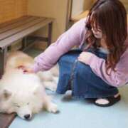 ヒメ日記 2025/06/24 06:12 投稿 ひなた パリス雄琴店