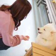 ヒメ日記 2025/07/23 06:12 投稿 ひなた パリス雄琴店