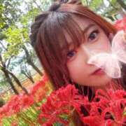 ヒメ日記 2025/10/21 15:14 投稿 ひなた パリス雄琴店