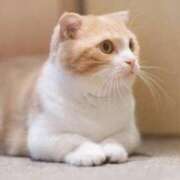 ヒメ日記 2025/09/21 12:08 投稿 すずか 鹿児島ちゃんこ 天文館店